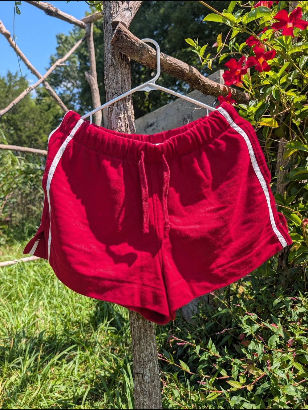 Gap Red Cotton Shorts